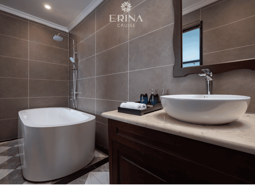 Erina Cruise bathroom