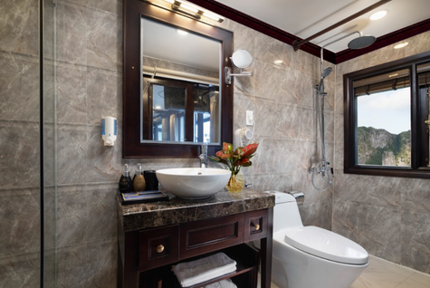 Alisa Premier Cruise bathroom