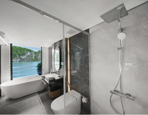 Sea Star Cruise bathroom