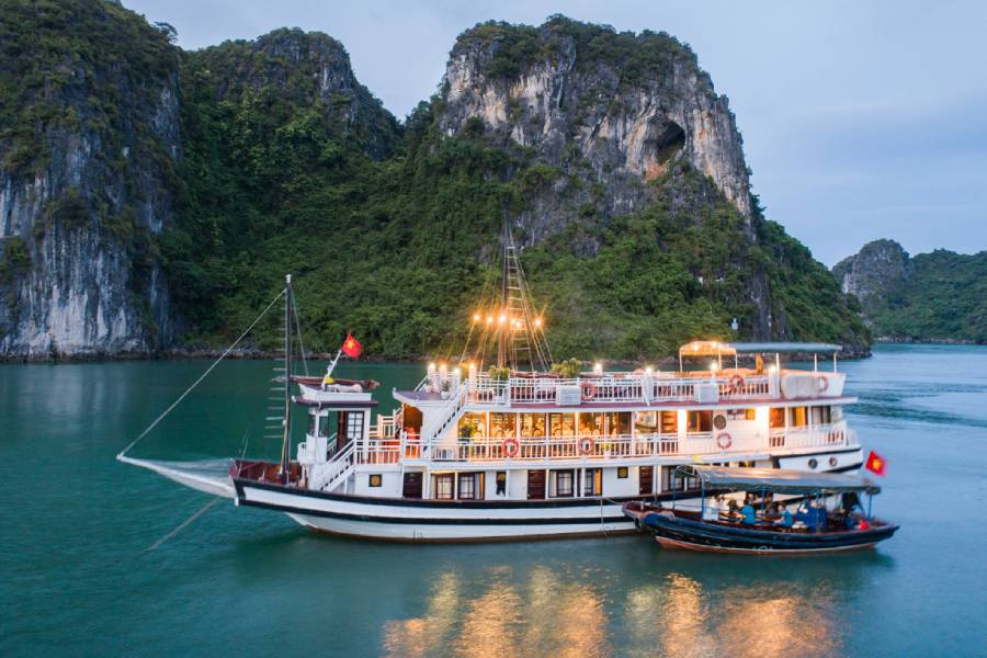 Swan Cruise Bai Tu Long Bay